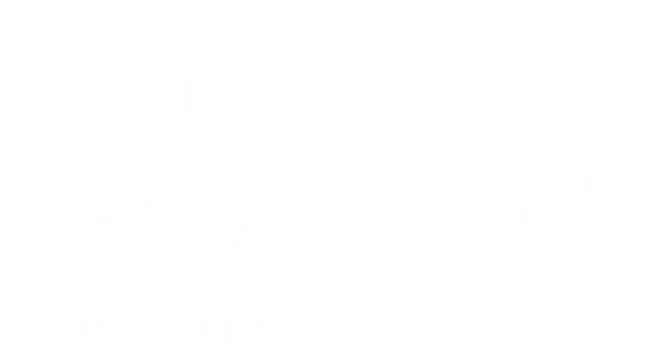 Logo Flor de Liz - Moda feminina fitness, praia e íntima